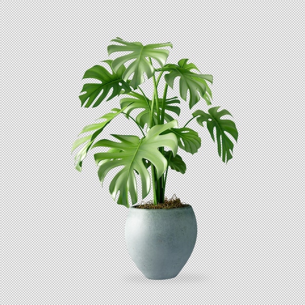 PSD planta en maceta en render 3d