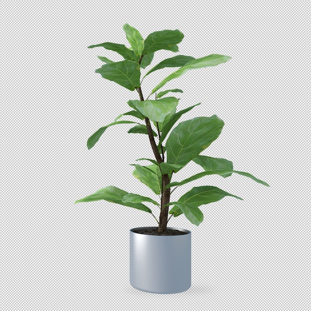 Planta en maceta en render 3d