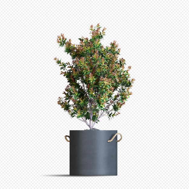 PSD planta en maceta en render 3d