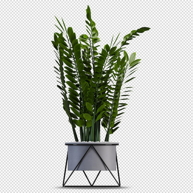 PSD planta en maceta en render 3d