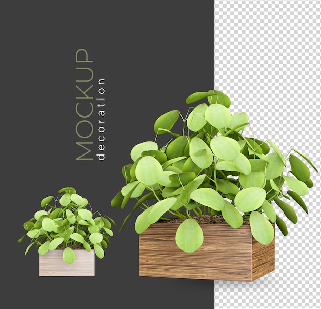 Planta en maceta en renderizado decoraciones aisladas