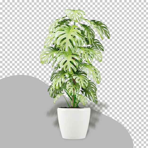 Planta monstera en maceta en render 3d