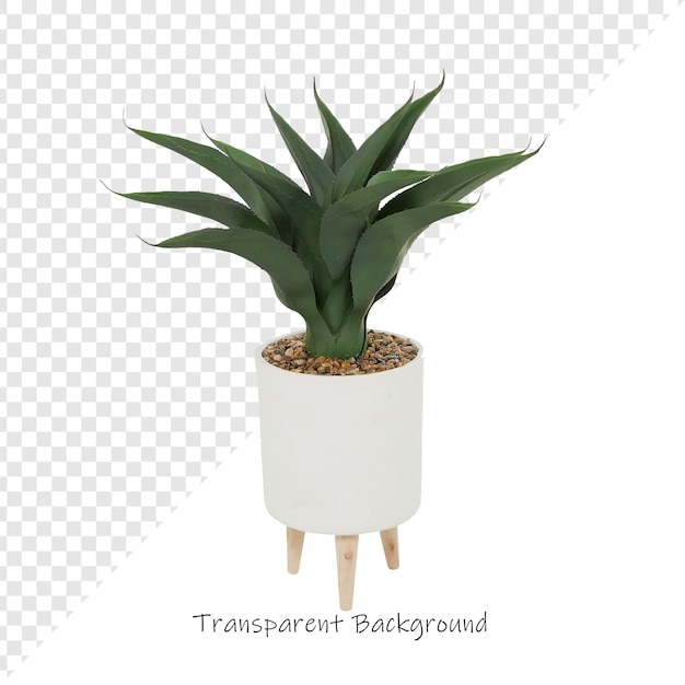 una planta se muestra en un fondo blanco con un fondo blanco que dice transpart