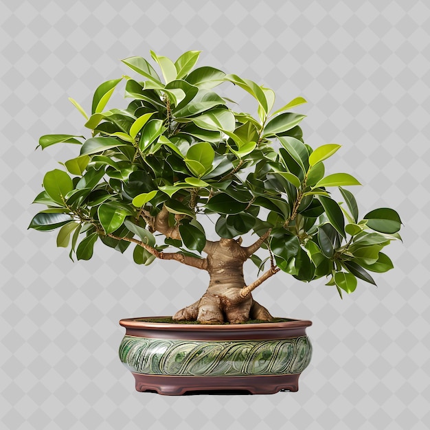 PSD una planta en olla con el nombre de bonsai en ella