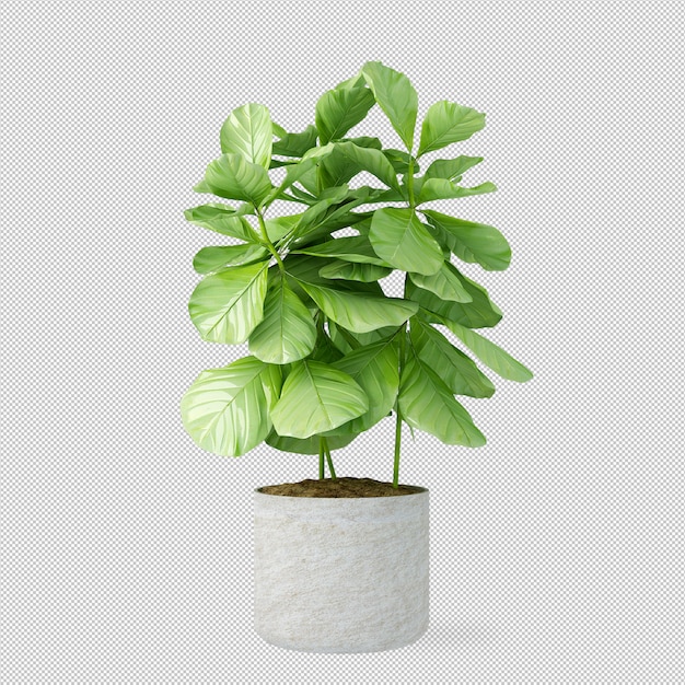 Planta en olla en representación en 3D