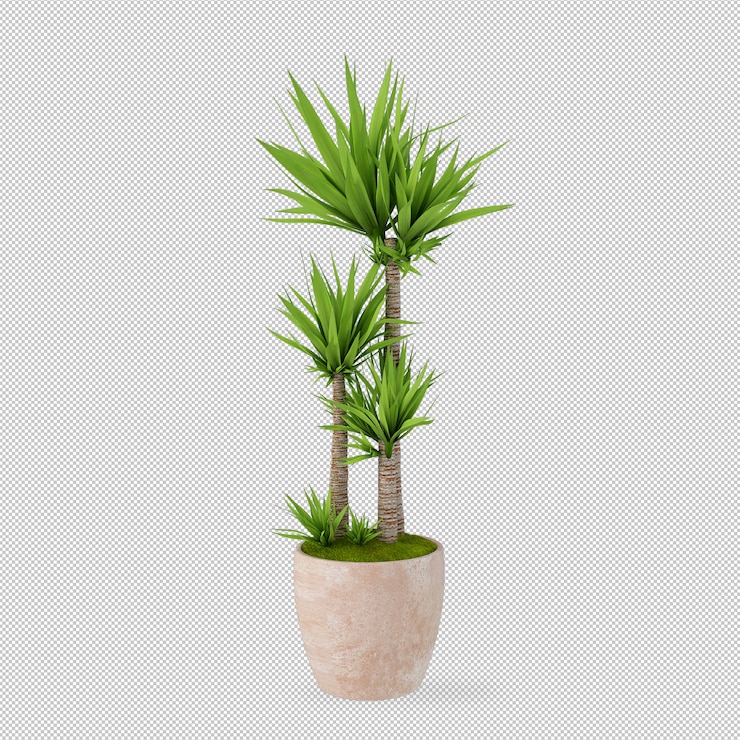 PSD planta en olla en representación en 3d