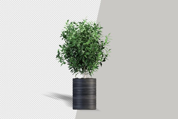 Planta en olla en representación en 3D