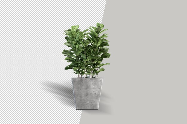 Planta en olla en representación en 3D
