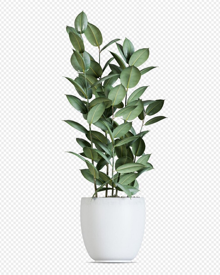 Planta en olla en representación en 3D