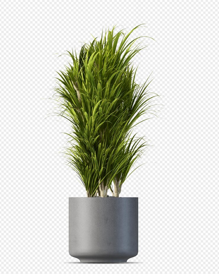 Planta en olla en representación en 3D