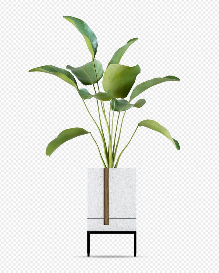 Planta en olla en representación en 3D
