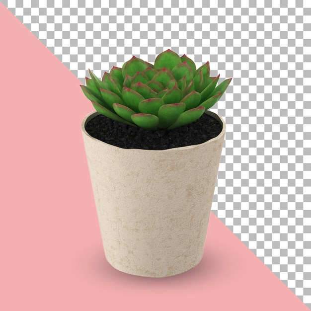 Planta pequena em vaso branco para decoração de quarto