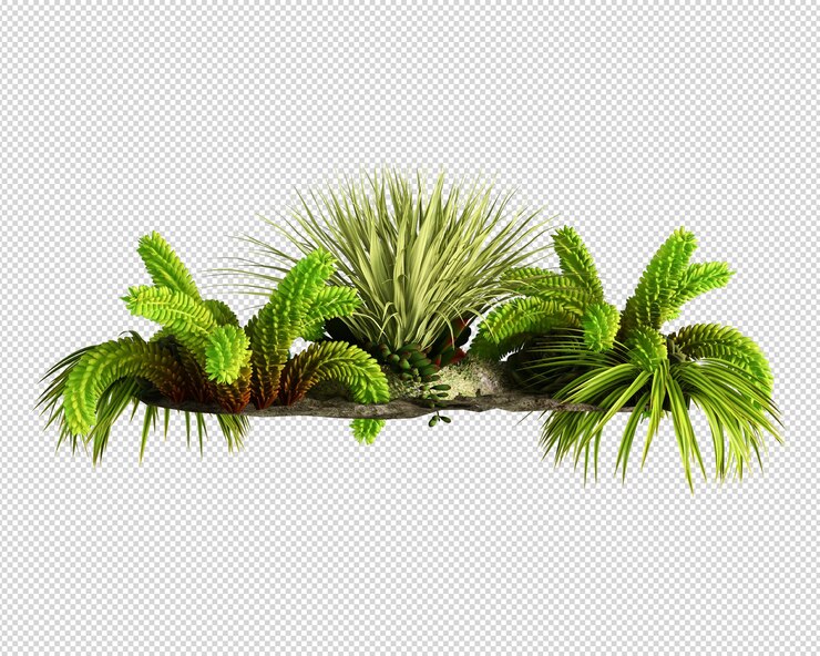 Una planta con una planta frondosa en el medio.