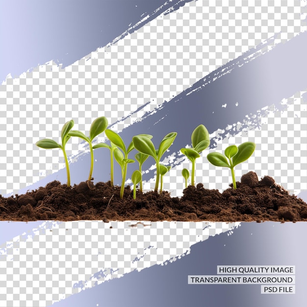 Planta png 3d png clipart transparente fundo isolado