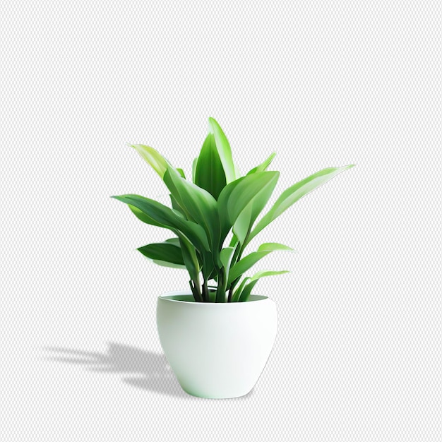 Planta png