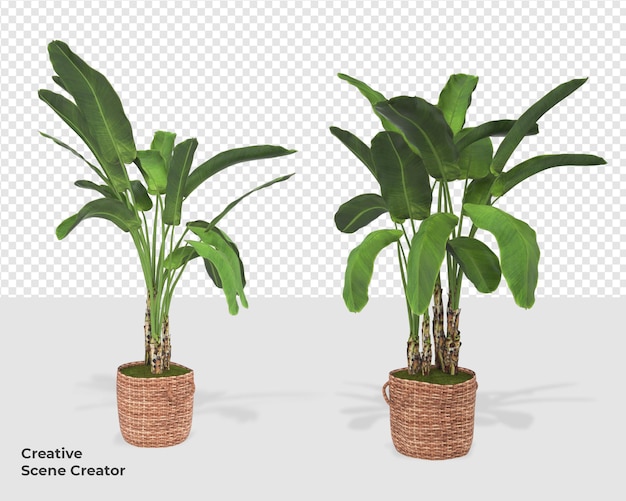 Planta Psd na renderização da decoração do criador de cena