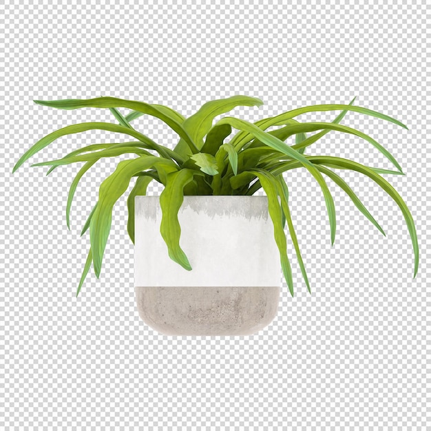 Planta PSD, Planta PNG, Descargar Planta Fondo Transparente