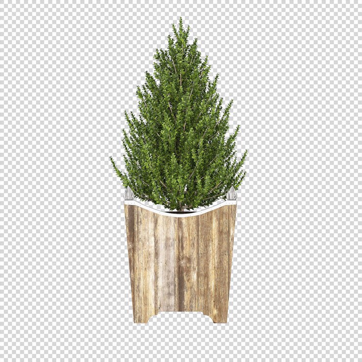 PSD planta psd, planta png, descargar planta fondo transparente