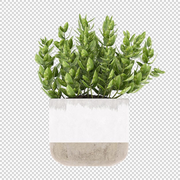 Planta PSD, Planta PNG, Descargar Planta Fondo Transparente