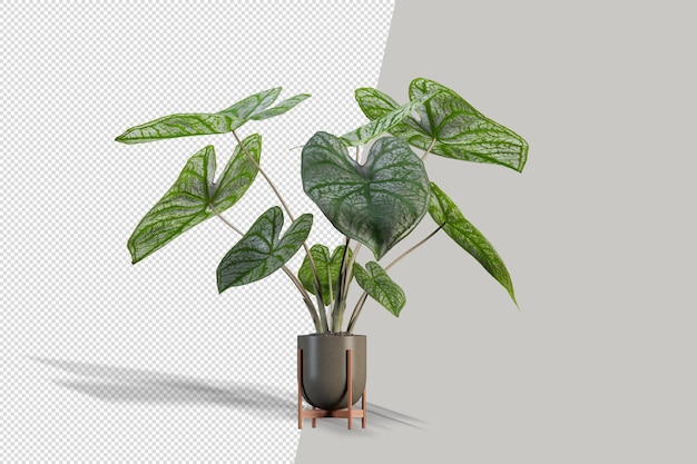 Planta realista em renderização 3d