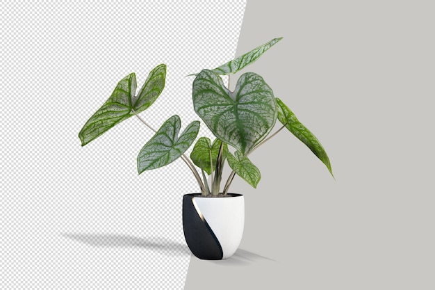 Planta realista em renderização 3d