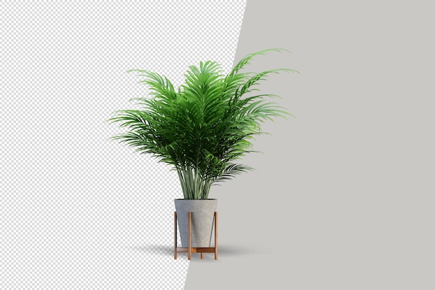 Planta realista em renderização 3d