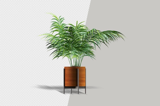 Planta realista em renderização 3d