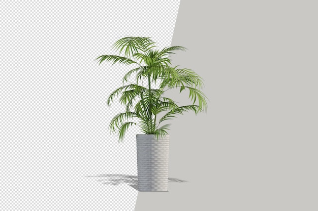 Planta realista em renderização 3d