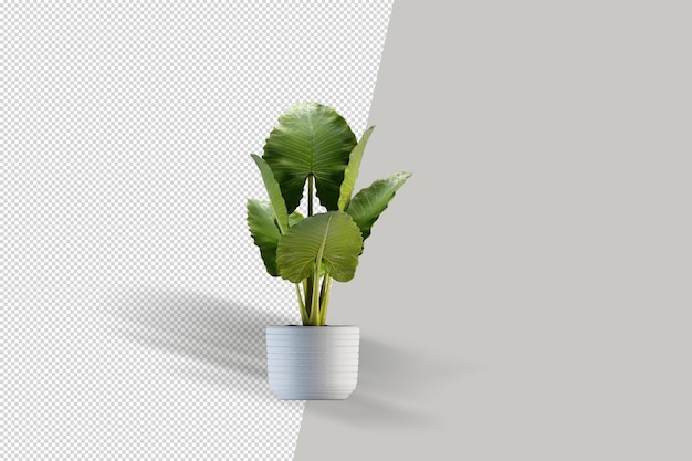 Planta realista em vaso isolado renderização em 3d