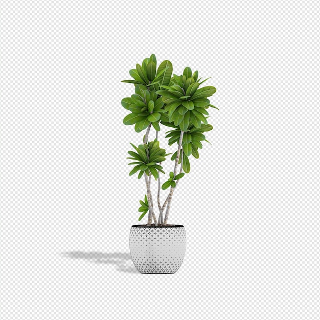 Planta renderização em 3d