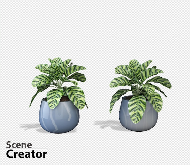 Planta renderização em 3d