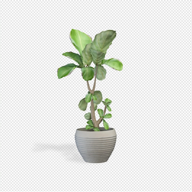 Planta renderização em 3d