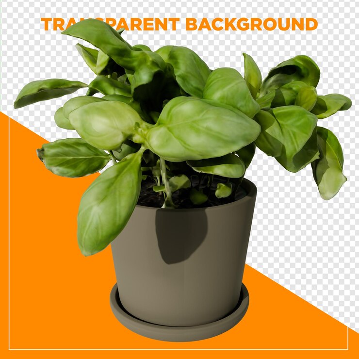PSD planta de renderizado 3d en el jarrón de la olla con fondo transparente
