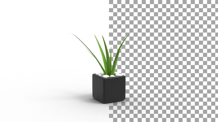 PSD planta spider con sombra 3d render