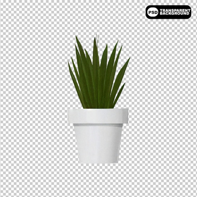 Planta suculenta 3d con maqueta de olla aislada sobre un fondo transparente