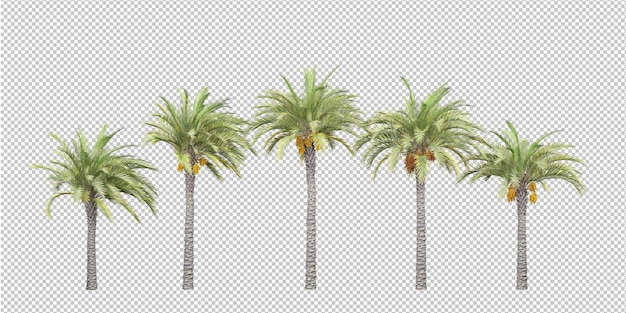 Planta tropical aislada y palma de coco sobre fondo transparente.
