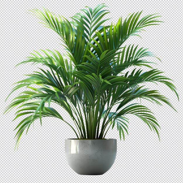 PSD planta tropical aislada