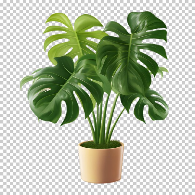 PSD planta tropical em um pote isolado em fundo transparente