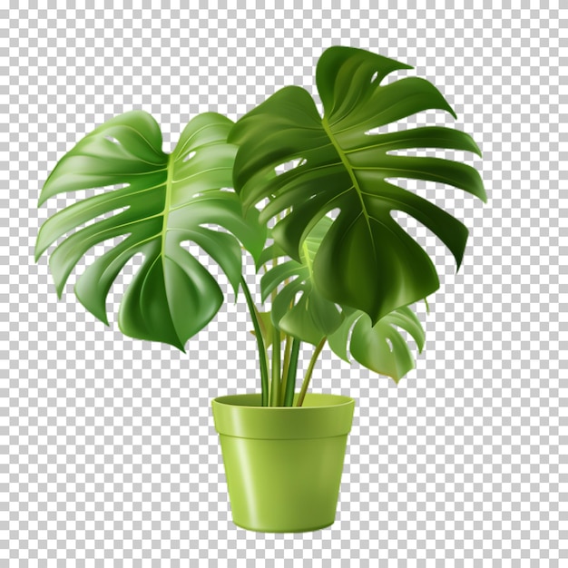 PSD planta tropical em um pote isolado em fundo transparente