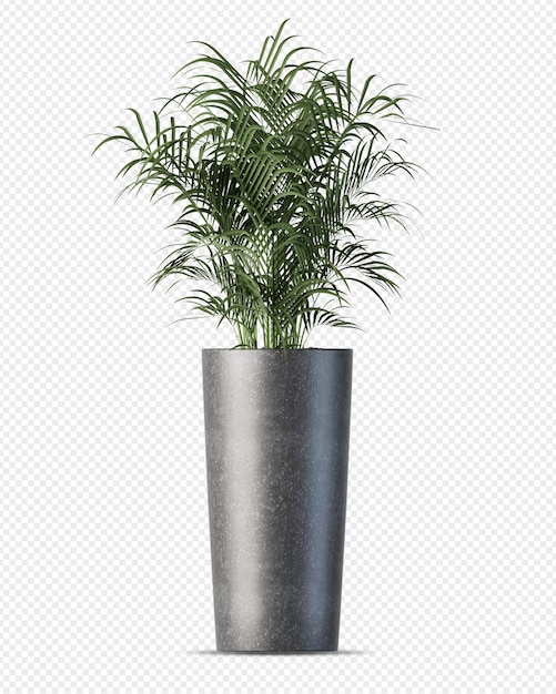 PSD planta tropical em vaso em renderização 3d