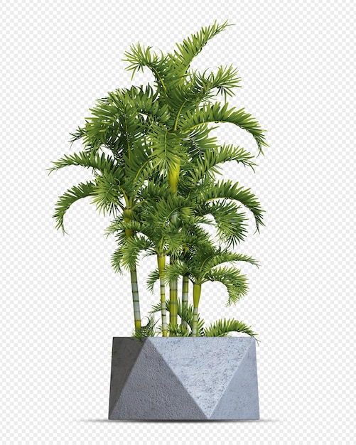 Planta tropical em vaso em renderização 3d