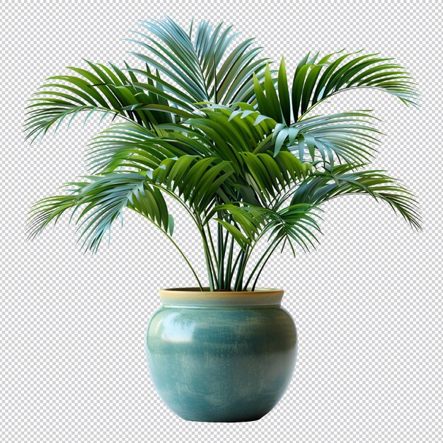 PSD planta tropical isolada