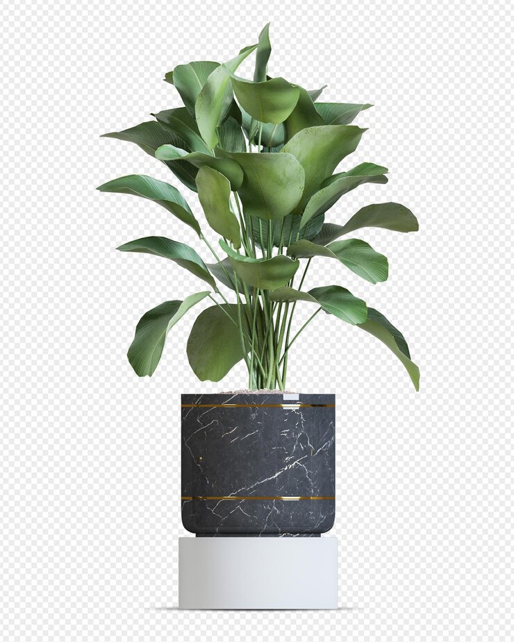Planta tropical en maceta en renderizado 3d