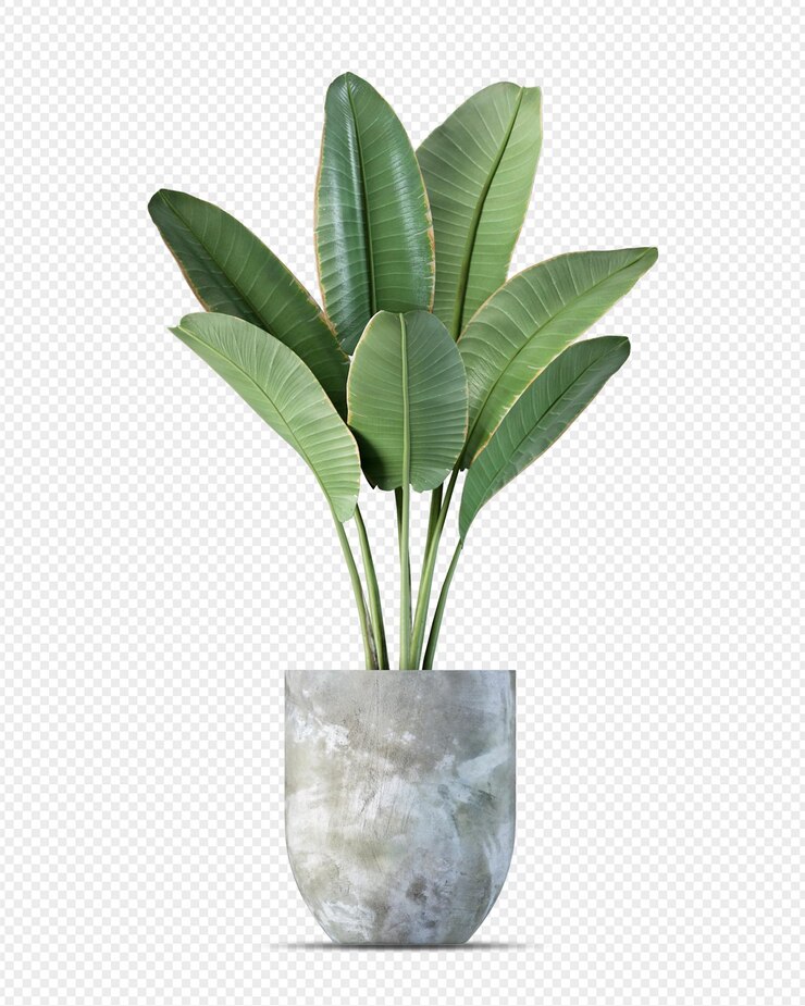 Planta tropical en maceta en renderizado 3d