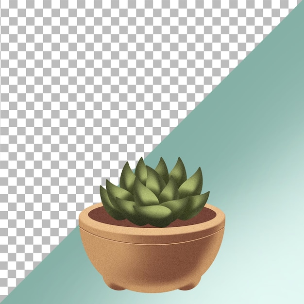Planta V1 010