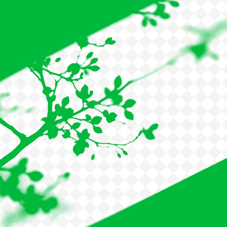 PSD una planta verde con un fondo blanco con un fondo verde