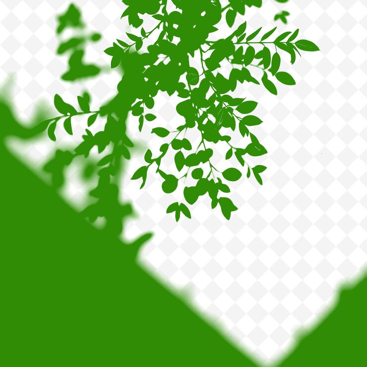 PSD una planta verde en un fondo blanco con un fondo verde
