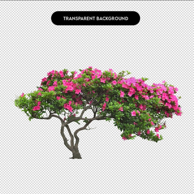 Planta de verduras PNG con fondo transparente para el jardín
