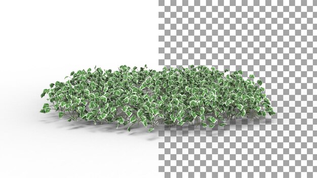 PSD plantas de arbustos ornamentales con sombra 3d render