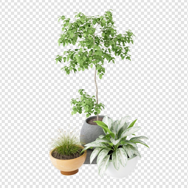 Plantas de belleza en maceta en representación 3d aisladas